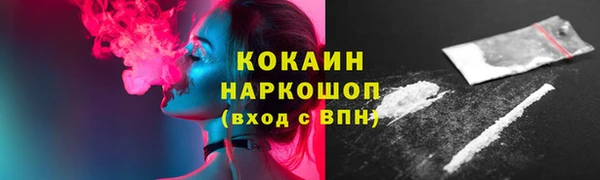 соль ск Пересвет