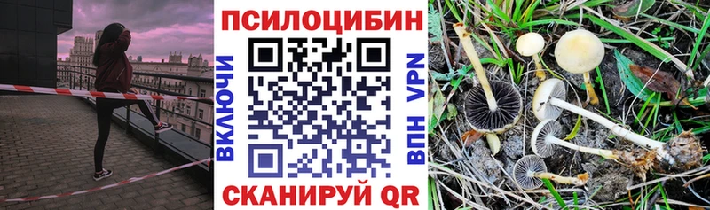hydra маркетплейс  Белоозёрский  Галлюциногенные грибы мицелий  где найти  